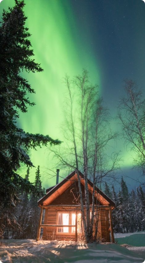 A cabin in the woods