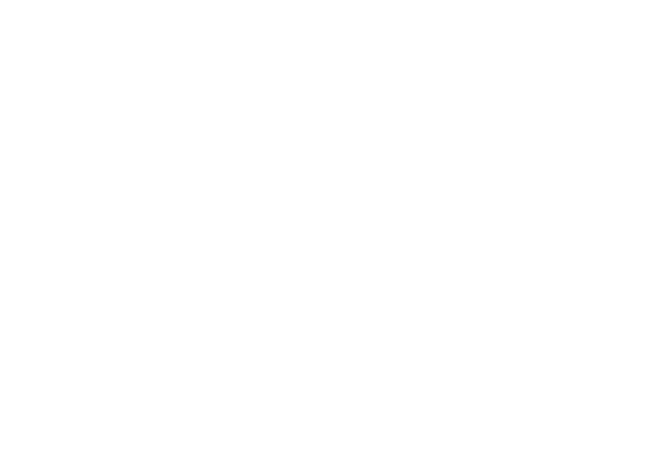 TelNet World Wide Technology logo