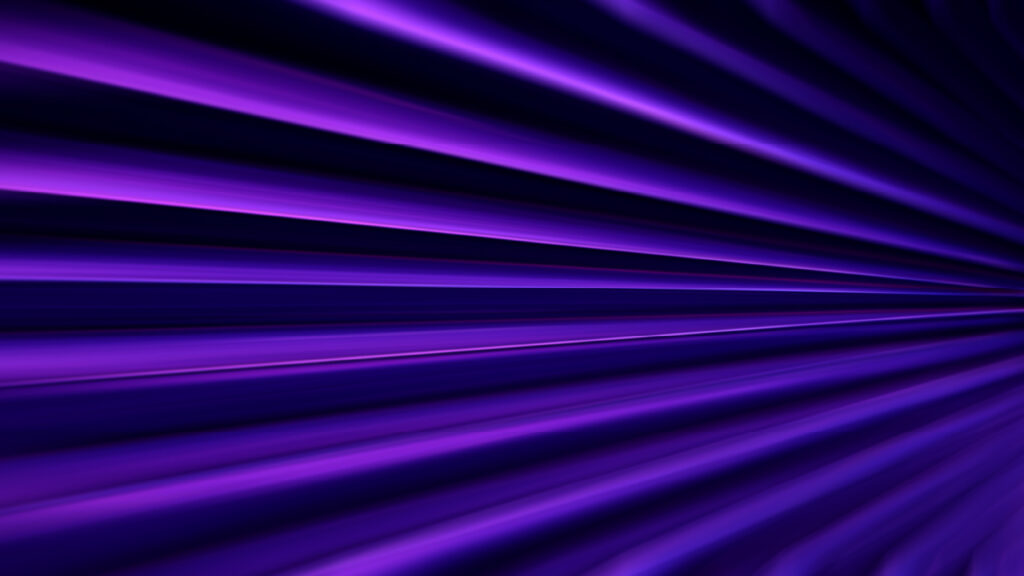 Purple Palm Leaf Closeup