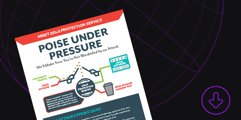 DDoS Protection Service Poise Under Pressure Document